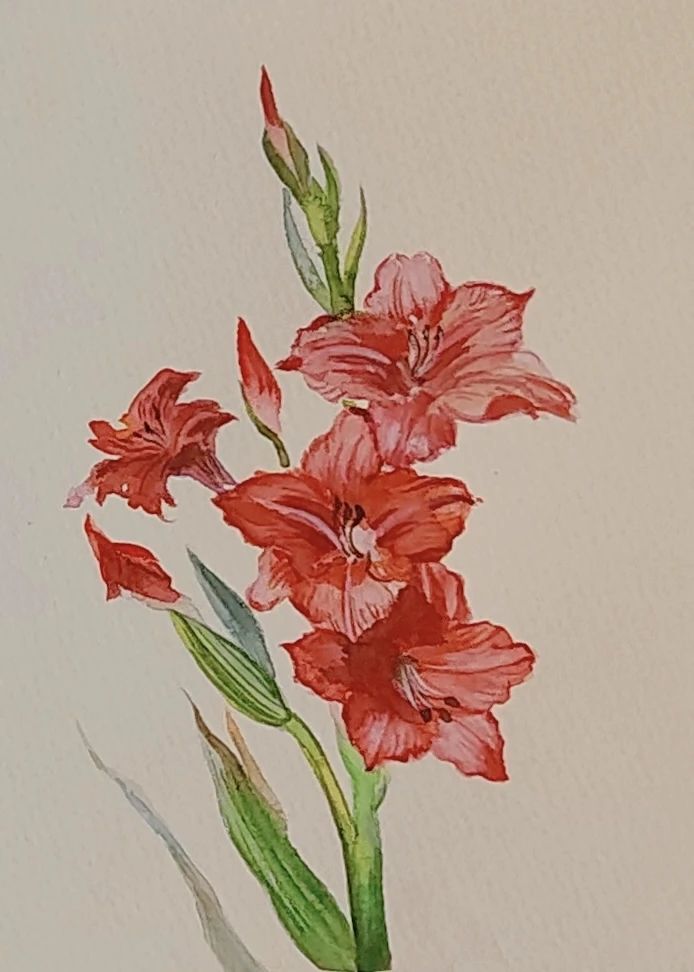 花卉3.jpg